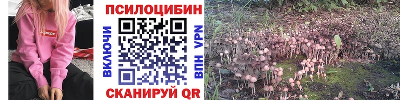 Псилоцибиновые грибы Magic Shrooms  Губаха 